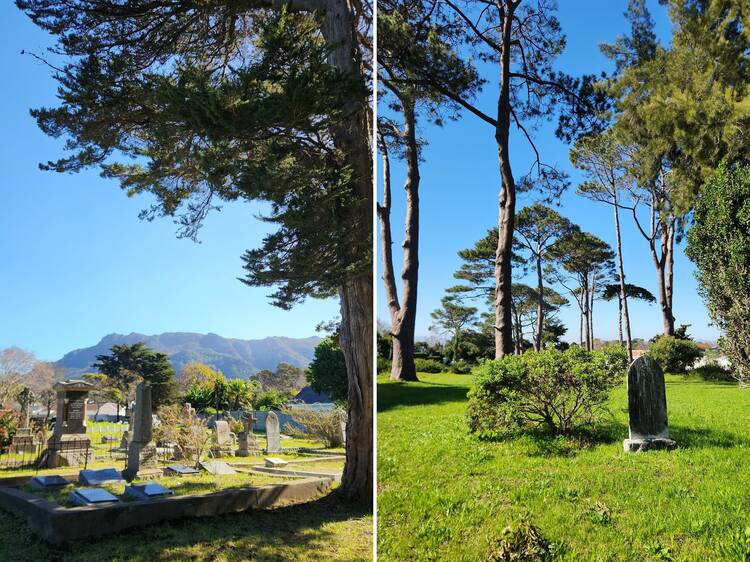 Constantia Cemetery