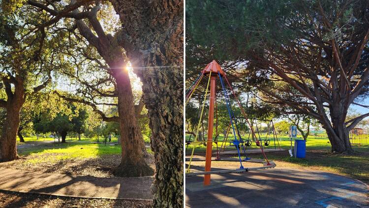 Keurboom Park