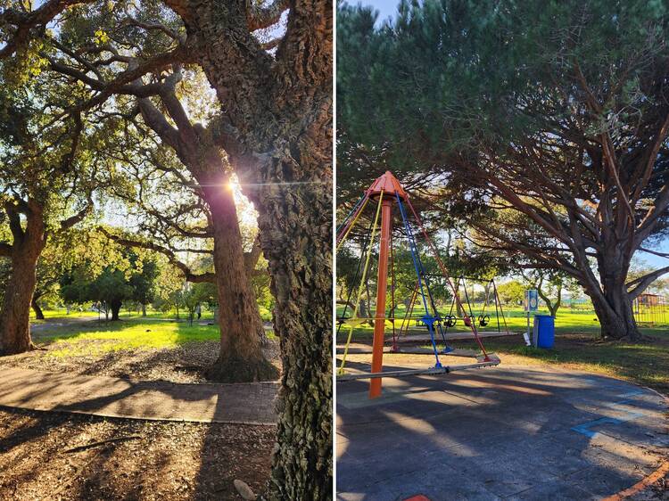 Keurboom Park