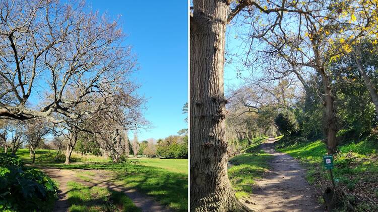 Silverhurst Trail