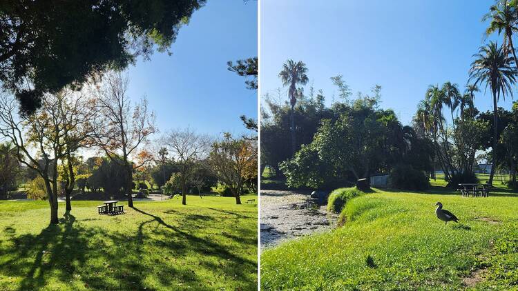 Maynardville Park