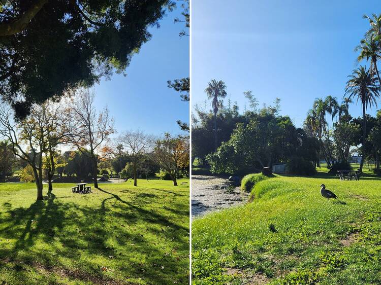 Maynardville Park