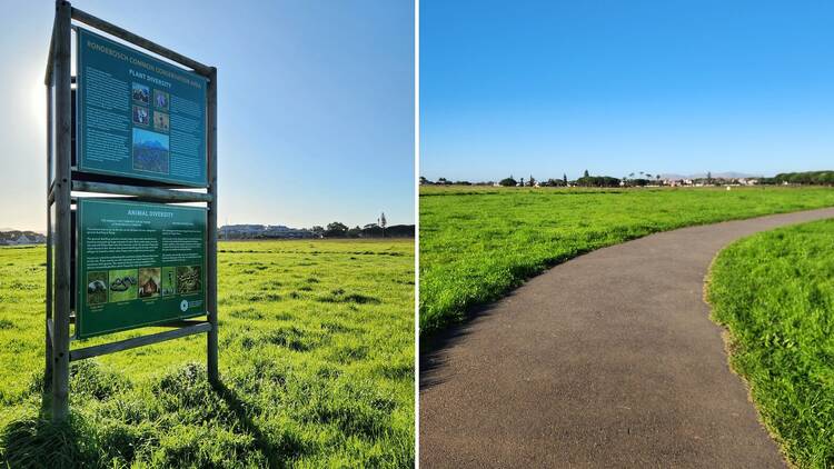 Rondebosch Commons