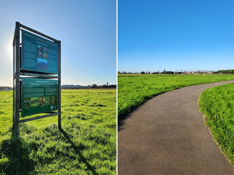 Rondebosch Commons