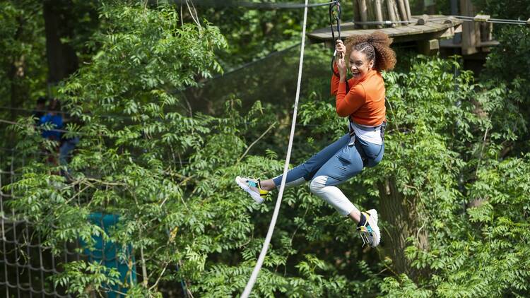 Photograph: Go Ape Cockfosters