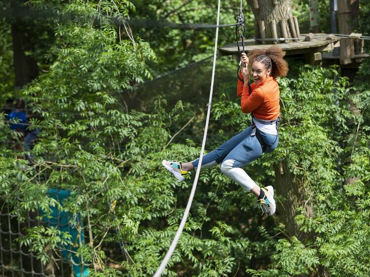 Swing through the trees with Go Ape this summer