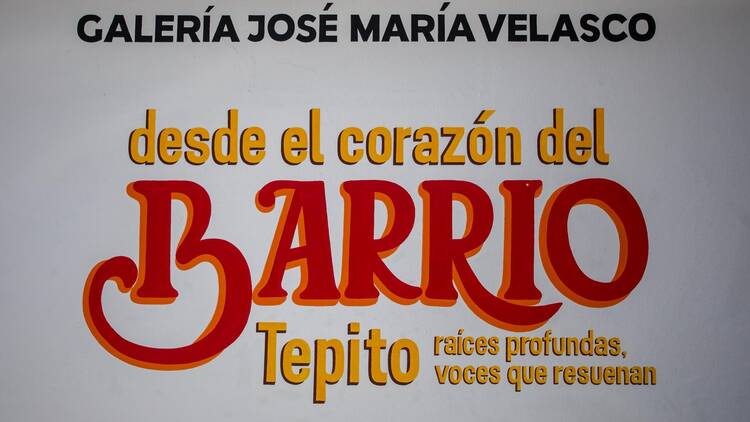 Desde el corazón del barrio. Tepito: raíces profundas, voces que resuenan