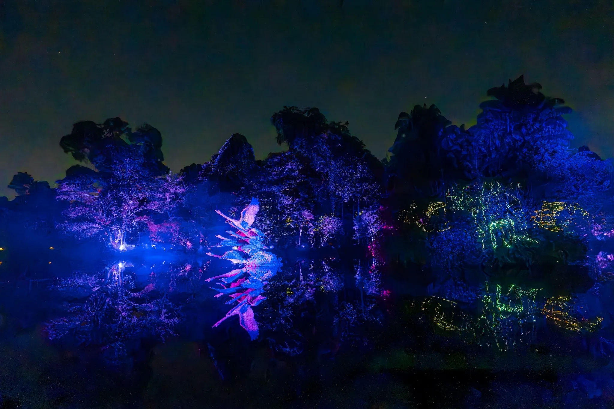 Singapore Botanic Gardens Light Show