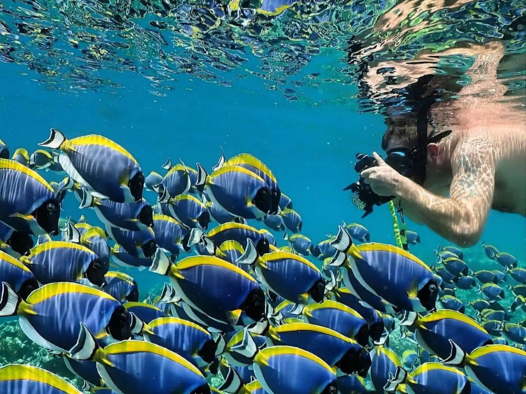 9 experiencias en Airbnb perfectas para el verano