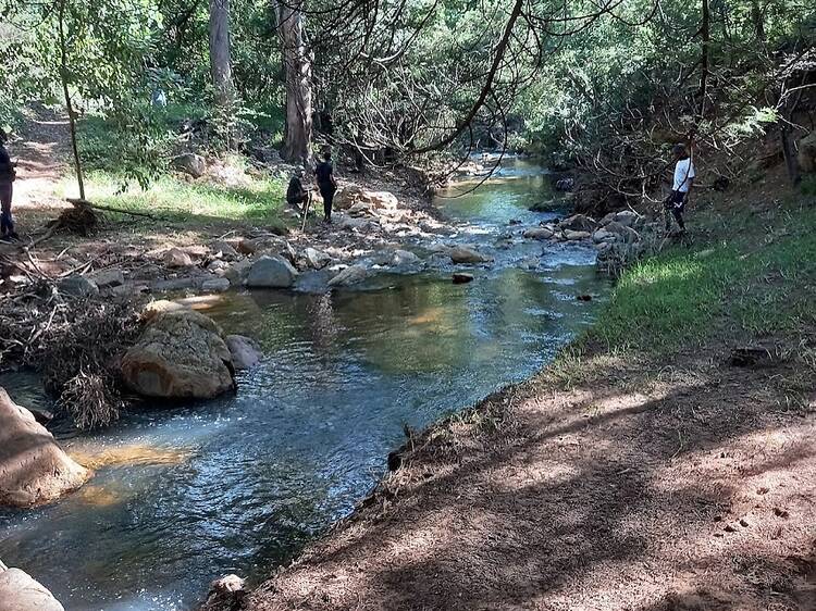 Kings Kloof