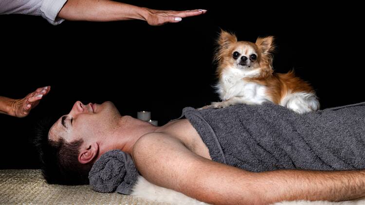 Unheard Sound and Music Festival dog sound healing