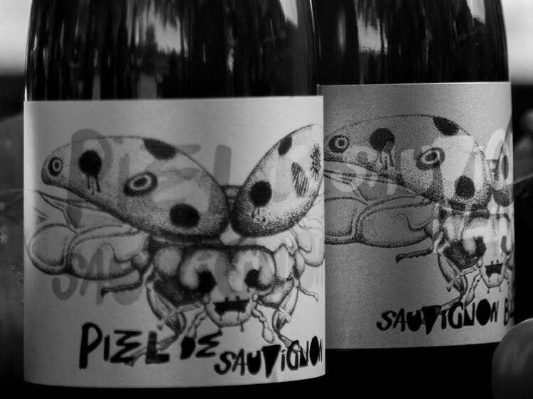 Piel de Sauvignon Blanc de Consciente Mente Viticultores