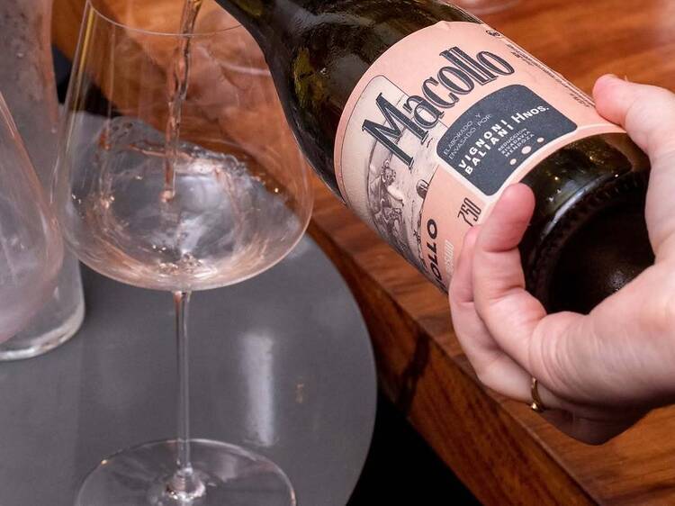 Macollo Criollo de Macollo Wines