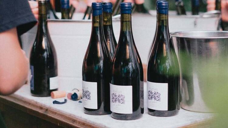 Sucus Malbec Los Filosos de Sucus Wines