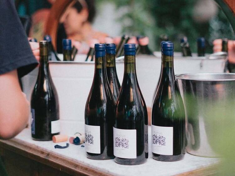 Sucus Malbec Los Filosos de Sucus Wines