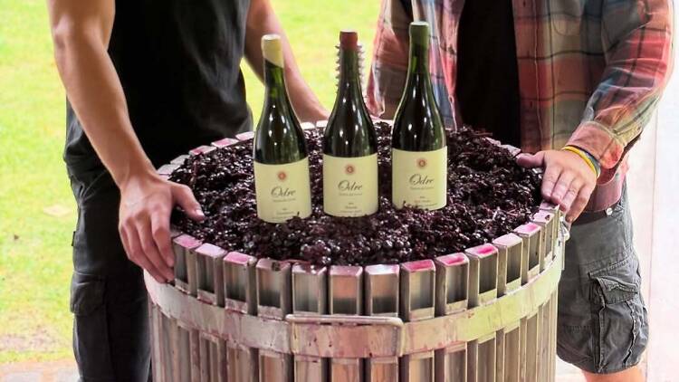 Tesoros del Terroir Petit Verdot de Odre Wines