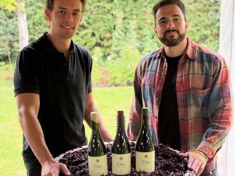 Tesoros del Terroir Petit Verdot de Odre Wines