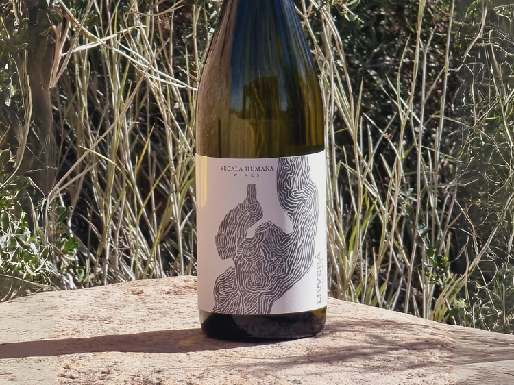 Livvera Malvasia de Escala Humana Wines