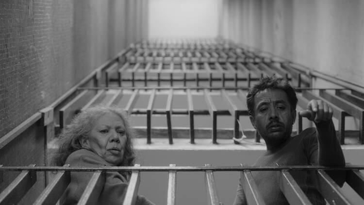 Pierre Saint-Martin No nos moverán