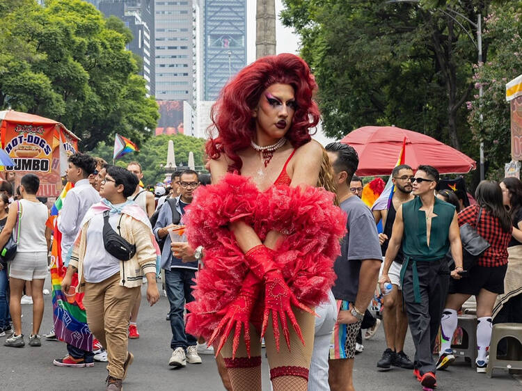 show drag y cabaret harry potter gratis