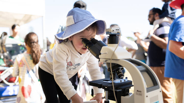 Little girl looking through a microscope