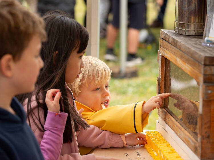 National Science Week with Greater Sydney Parklands National Science Week with Greater Sydney Parklands