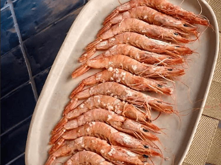 Lobito de Mar