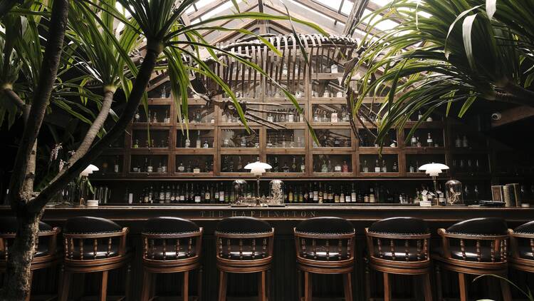 The Haflington, Hanoi