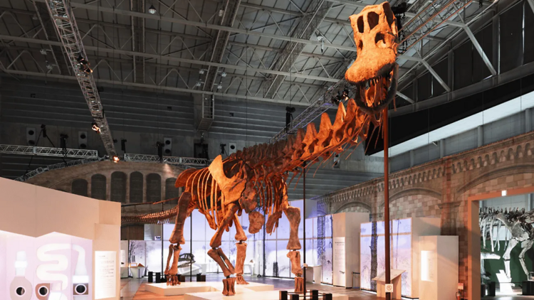 Giant Dinosaurs 2025
