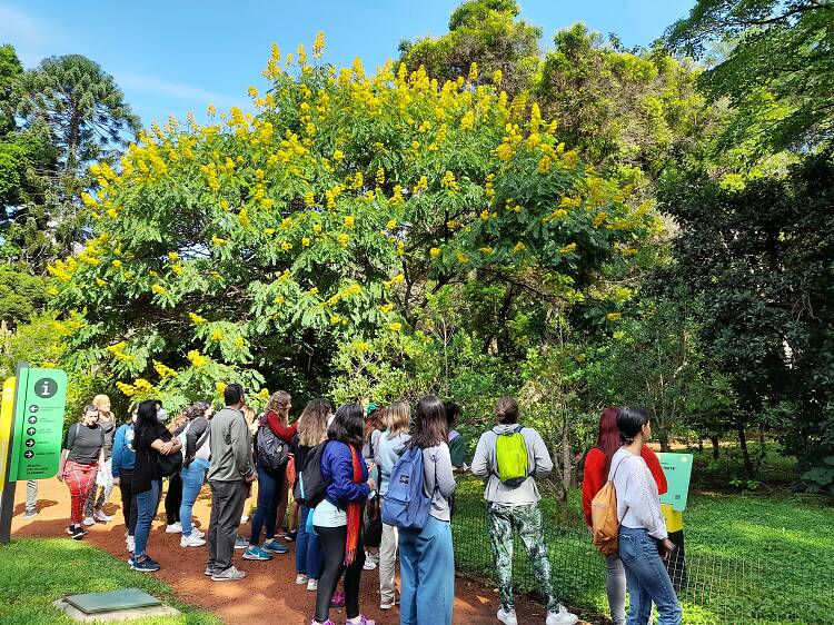 jardín-botánico