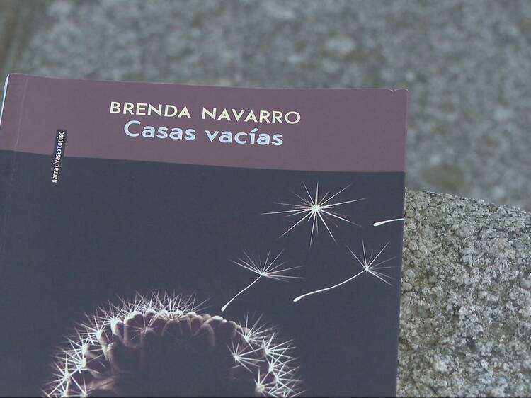 Casas vacías, Brenda Navarro