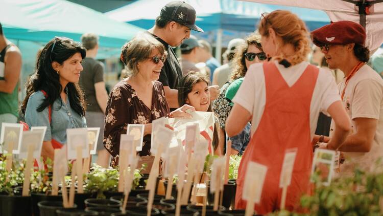 Astoria Farmers’ Market 