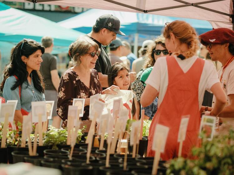 Astoria Farmers’ Market