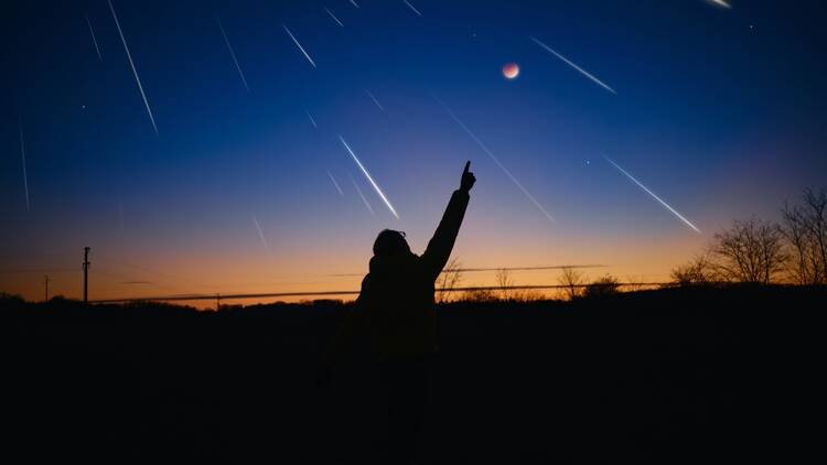 Perseids