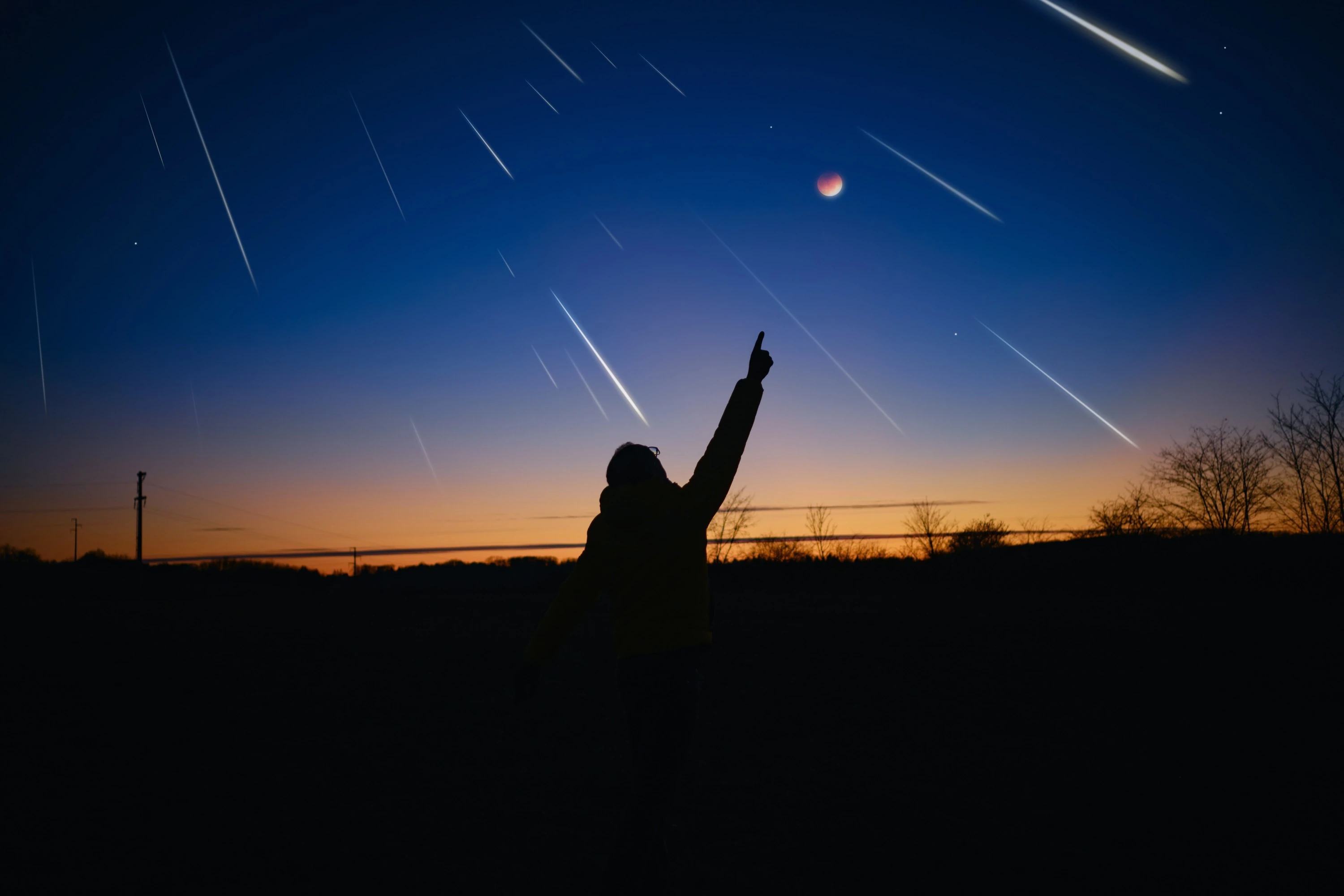 Perseids