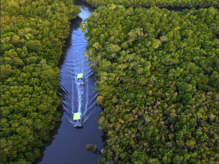 Hire a boat and go croc spotting