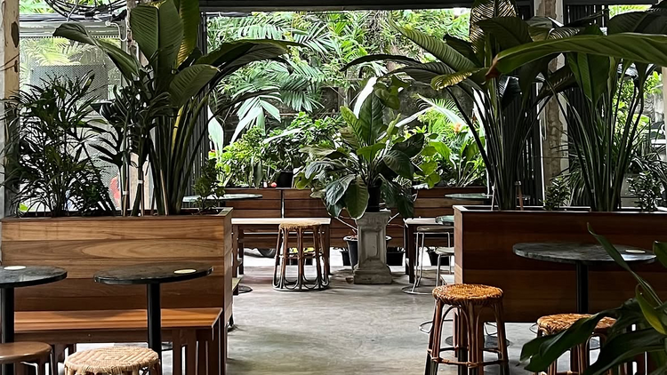 Piccolo Vicolo Cafe