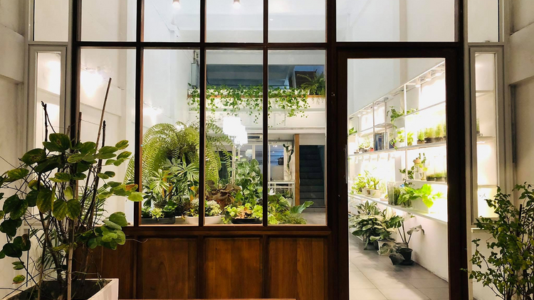 Plant Workshop Cafe