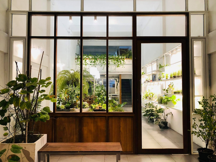 Plant Workshop Cafe