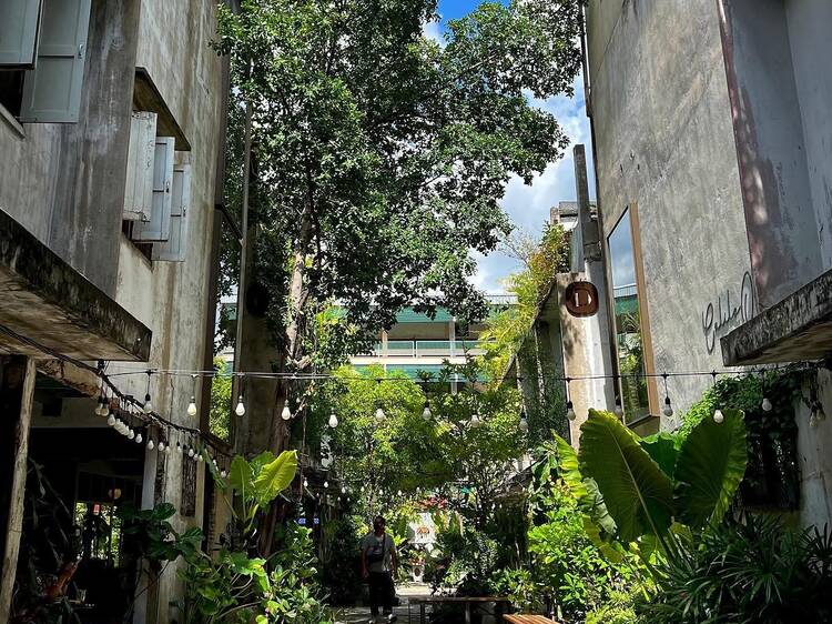 รวมร้านกาแฟมุมสงบใจกลางกรุง ทำงาน อ่านหนังสือท่ามกลางความเขียวชอุ่ม
