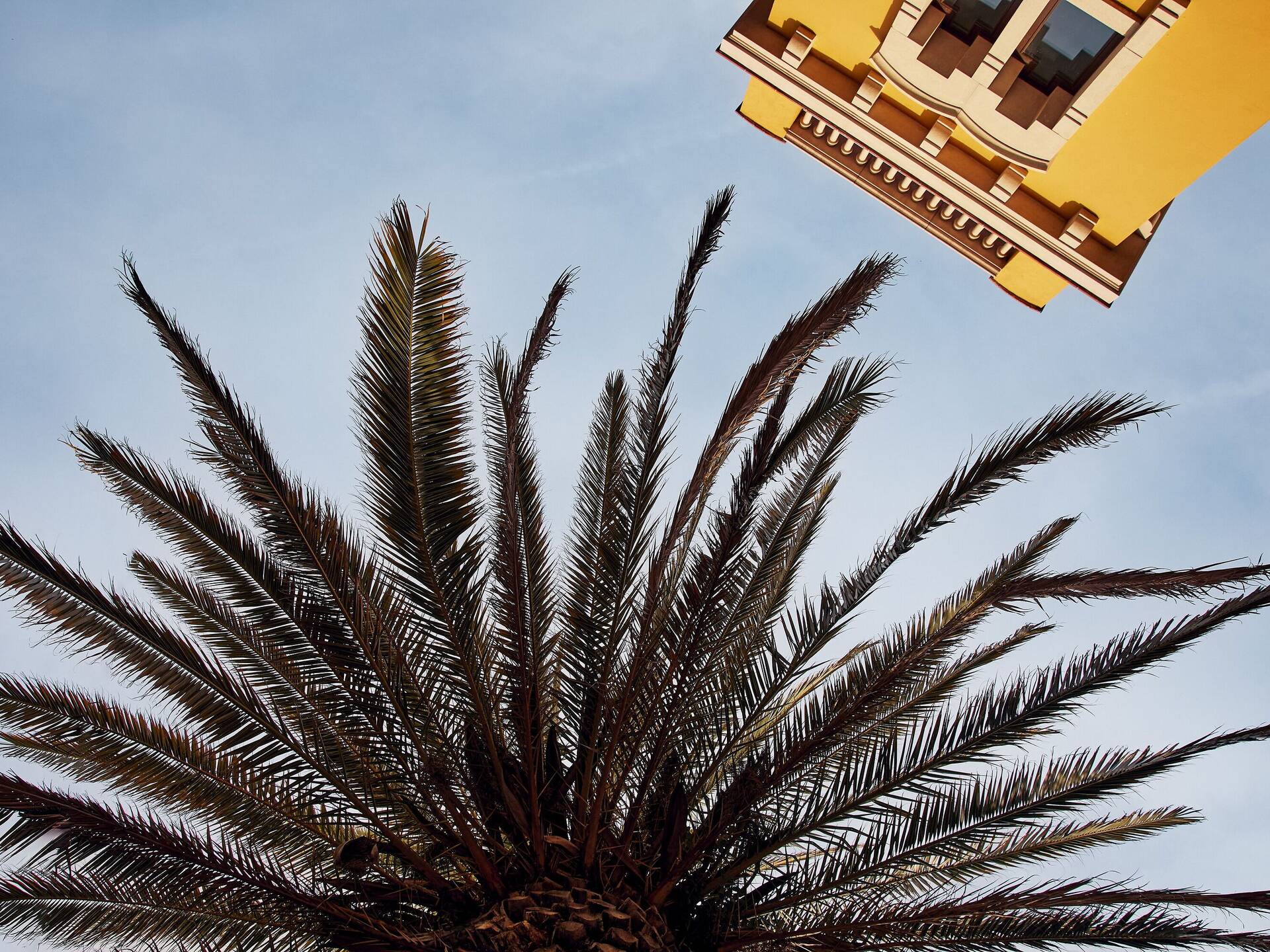 5 Reasons to Visit La Roca Village this Summer