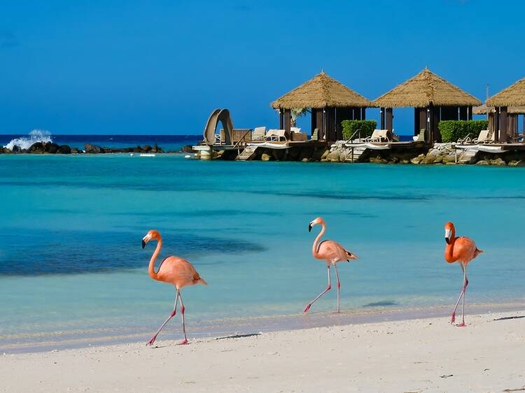 These are officially the best islands in the world to visit in 2025 These are officially the best islands in the world to visit in 2025