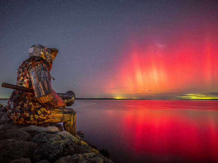 Astro at Giants of Mandurah