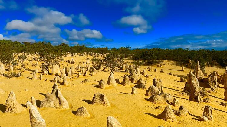 The Pinnacles (Cervantes)