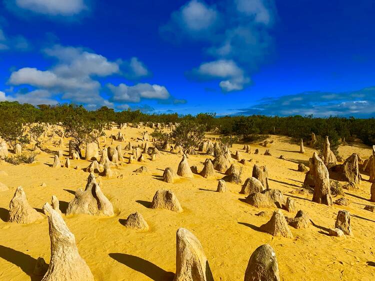 The Pinnacles (Cervantes)