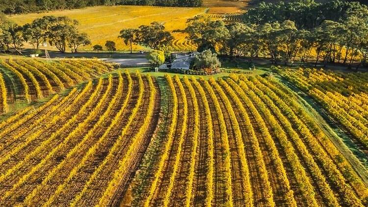 Clare Valley Clare Valley