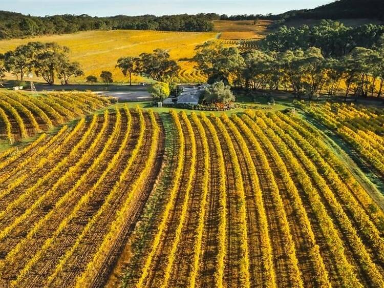Clare Valley Clare Valley