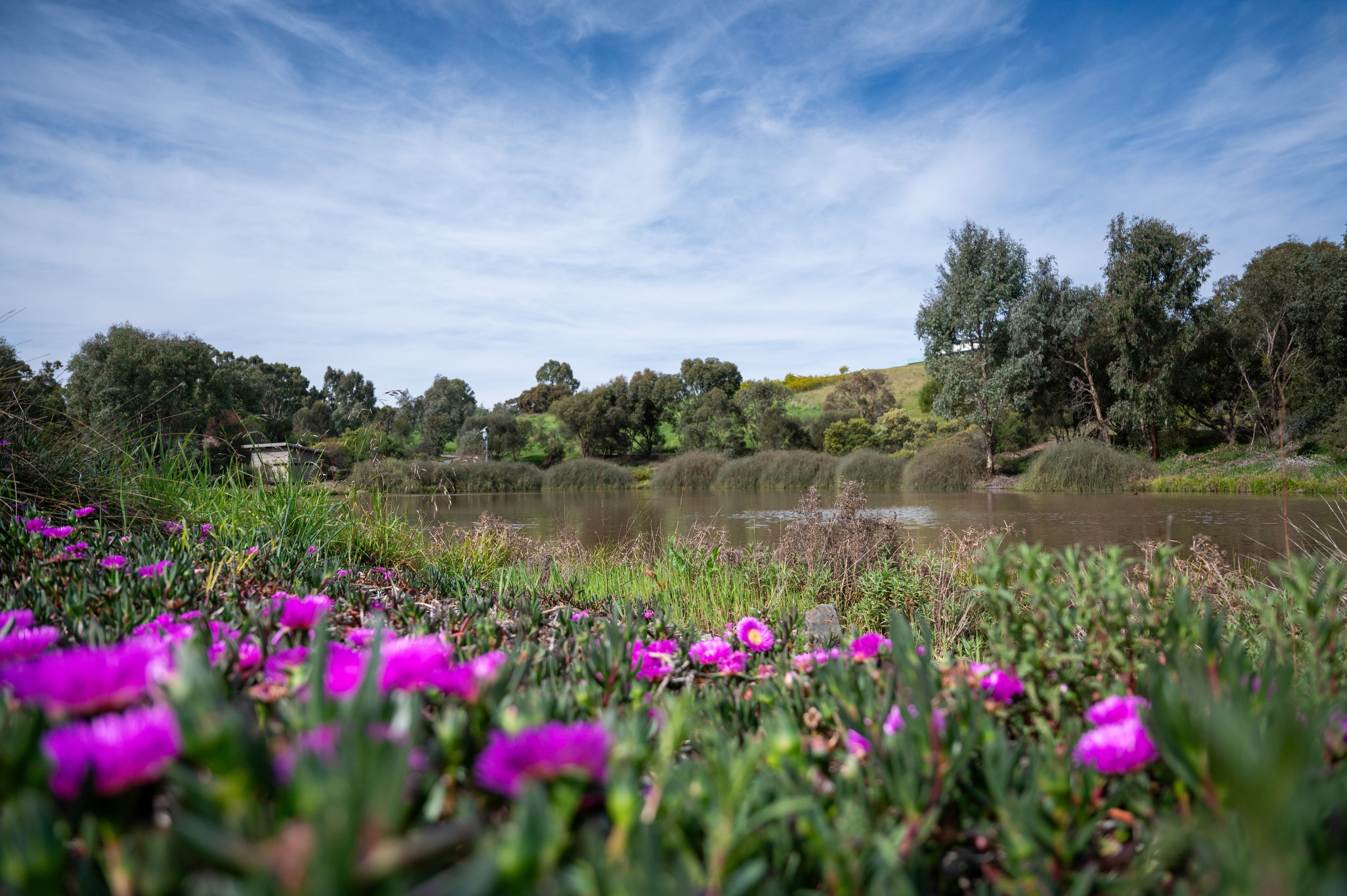The 10 Best Days Trips from Adelaide [2026]