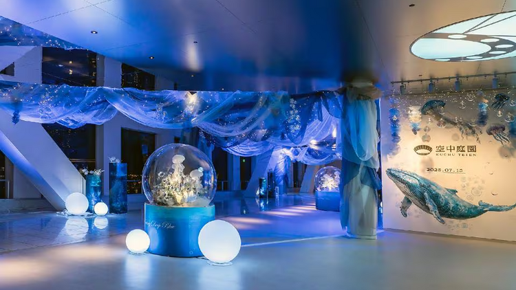 Floating Deep Blue at Umeda Sky Building