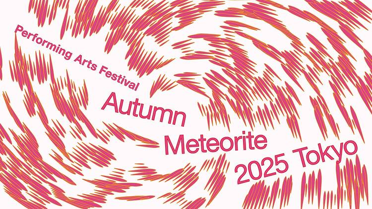 秋の隕石2025東京